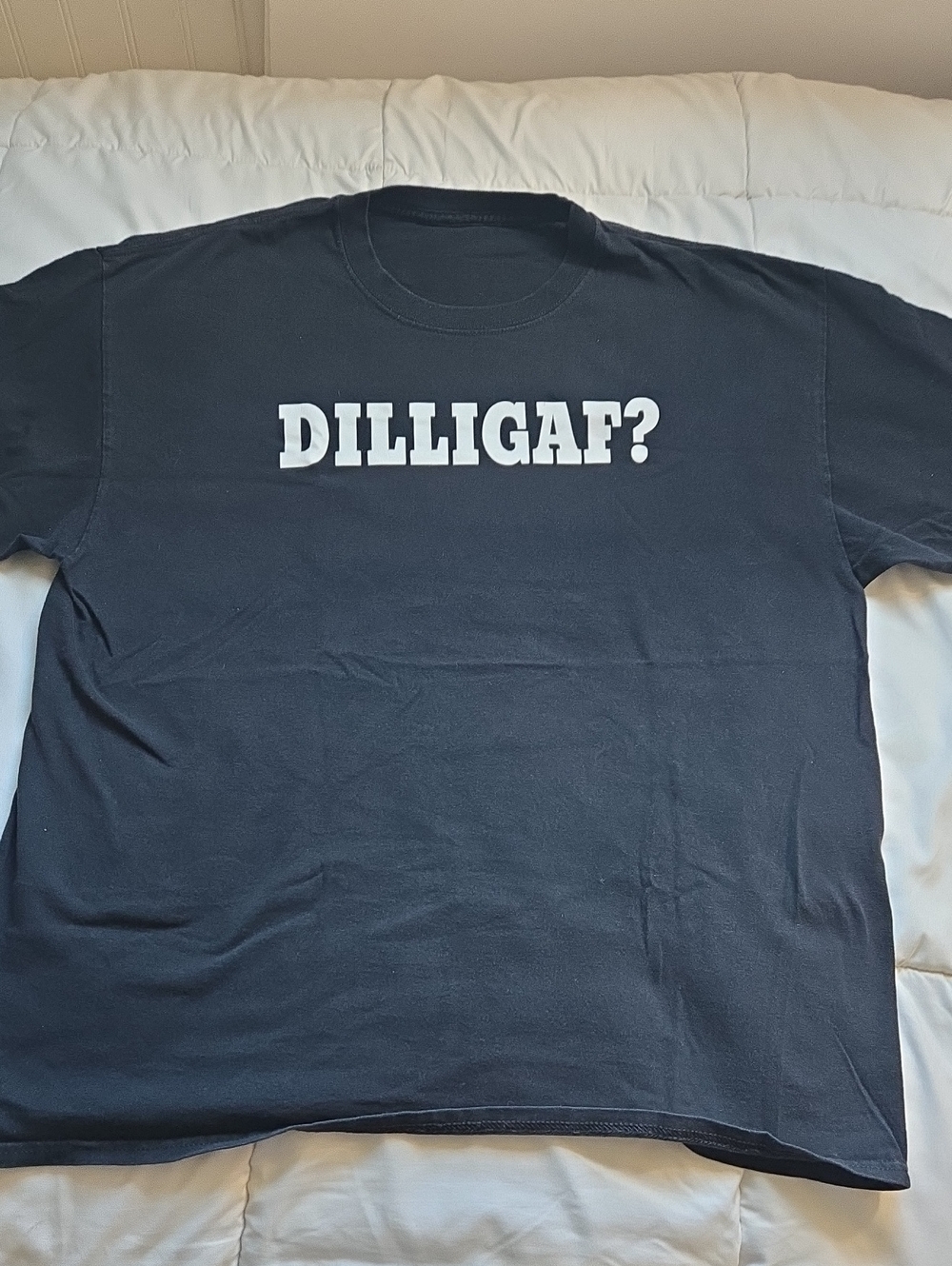Dilligaf T Shirt Men's Large